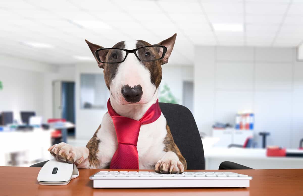 10 Lesser Known Facts About A Web Designer