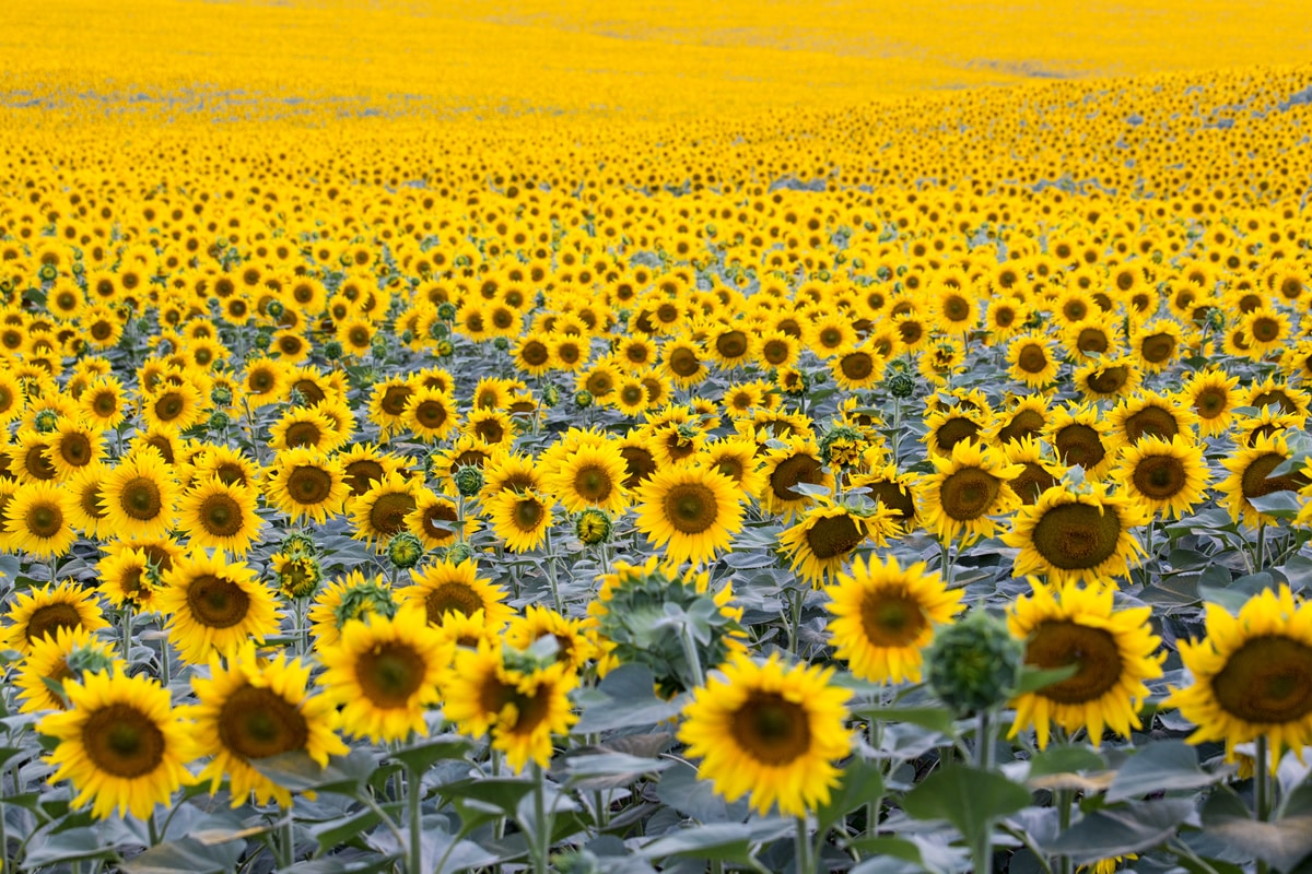 How Abundance Mentality Improves Customer Relationships