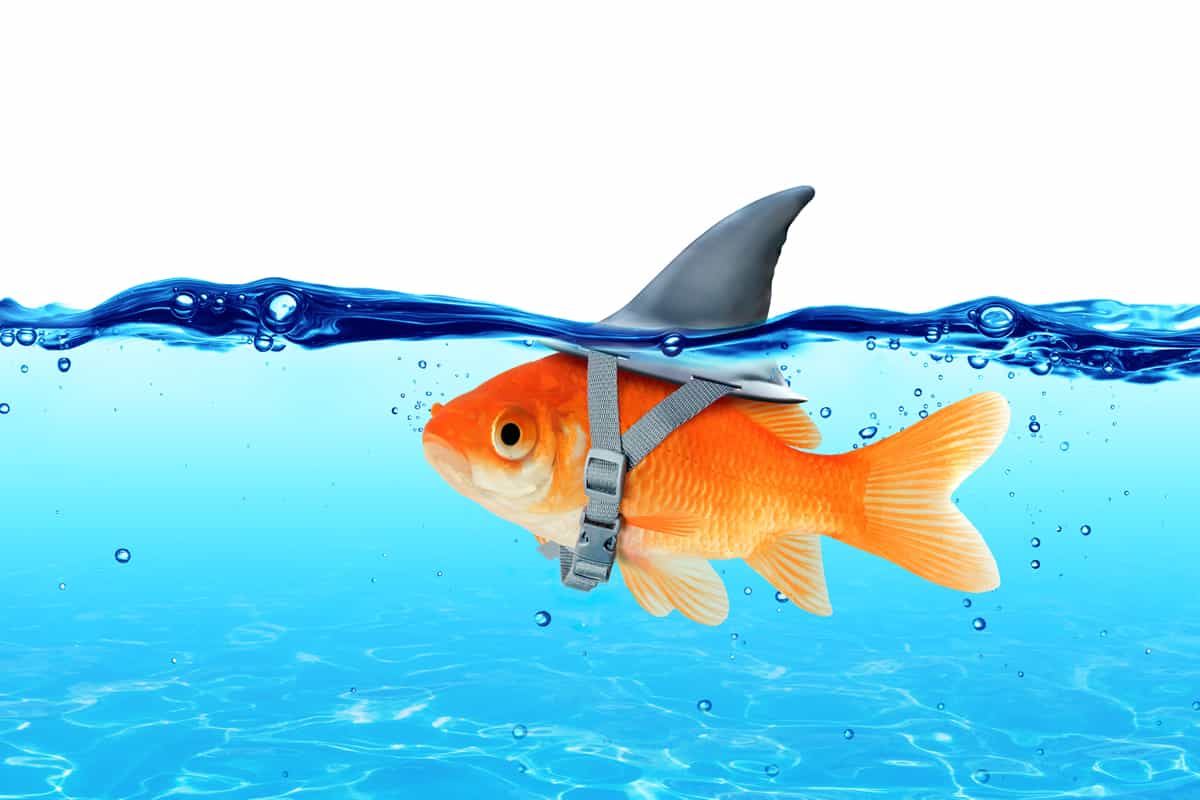 The Top 8 Ways to Come up with New Website Content Ideas