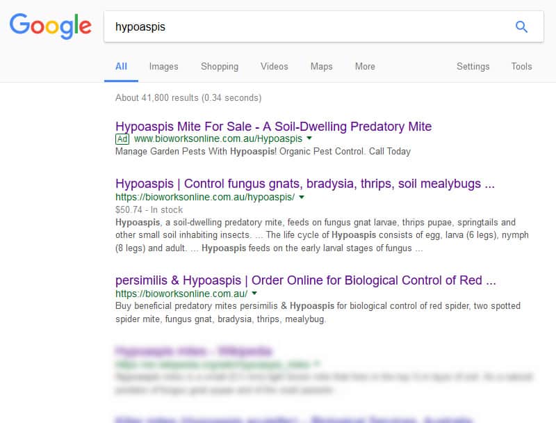 Top Google Ranking Coffs Harbour Business 07